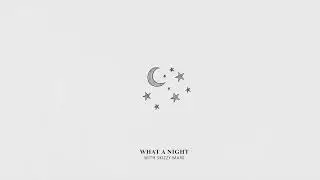 Vwillz & Skizzy Mars - What a Night (Official Audio)