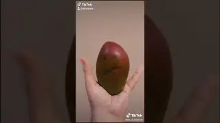 Mango trip - 07.10.2020