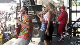 Reel Big FIsh 