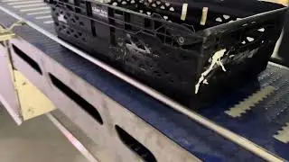 Continuous Vertical 2 Way Conveyor System for Trays and Boxes
