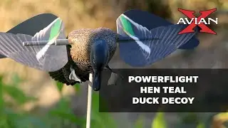 Avian X Powerflight&trade; Hen Teal