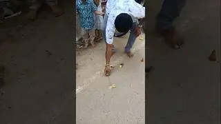 🔥💥Ground Chakkar Big crackers 💥 Firecrackers | Deepavali Festival🌞 #crackers #deepavali #chakkar