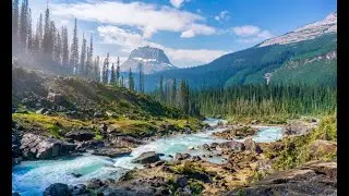 Inner Dimension of Islam: Part 2 | Algebra Society