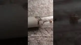 3d printing more ant stuff