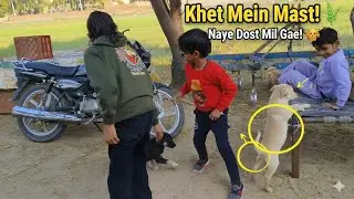 बच्चों के साथ अपने खेत में गए घूमने😇😇