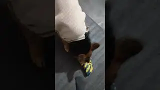 Anni Short video no. 113