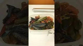 You Should Be Recycling Soft Plastic Fishing Lures RIGHT NOW