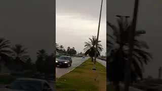 Ghayathi Road Ghayathi City Al Ruwais UAE Abu Dhabi Dubai Vlogs Dubai Life Greenery Nature Love