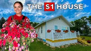 My $1 House: Outdoor Glow-Up Continues