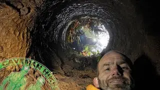 This cave was filled with dead animals