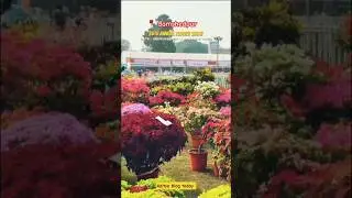 Jamshedpur flower show 2025 #flowershow2025 #jamshedpur #shorts #trending  #exhibition #flowers