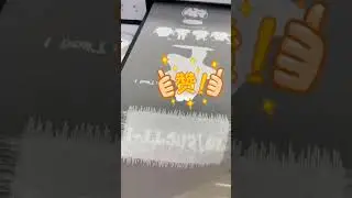 i transfer DTF PET Film