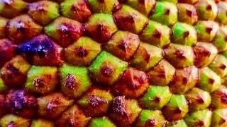 দেখুন আমার কাঁঠাল কিভাবে নিয়ে গেল| funny video 2023 @rkkendua