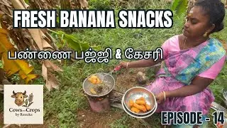 Farm Fresh வாழைக்காய் பஜ்ஜி & கேசரி | Banana Plant to Cooking | Real Farm Life