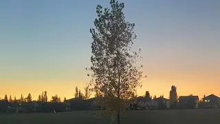 🌅 Evening Live: Peaceful Sunset Views Over the Neighborhood, Relax & Unwind |M&M Adventures is live!