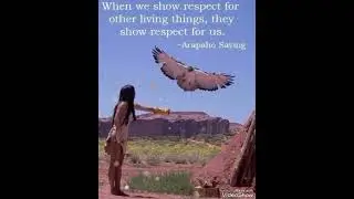 we have more to learn from animals 🔥🔥❤️🔥# shorts