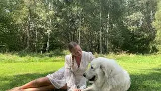 Neutralita a rovnov&aacute;ha