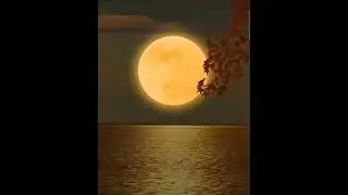 shabe barat ki barkatein #islmaicvidoes #allahinurdu #youtube #urdu #allahloves