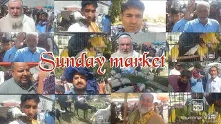 Sunday market Pakistan Hazro Itwar mandi Goats fancy birds Pigeon chicken Cheap market munsab tv