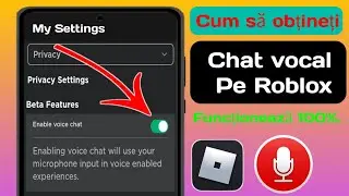 Cum să obțineți chat vocal pe Roblox (2024) |  Activați chatul vocal în Roblox