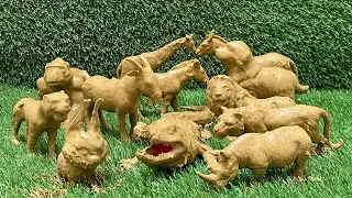 Exploring Nature&rsquo;s Giants: Farm Animals, Jungle Beasts, and Zoo Wonders!