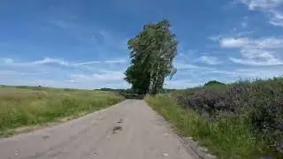 @andrzejpiechota9922  Pilchowice-Rudzkie Lasy-Zalew Rybnicki