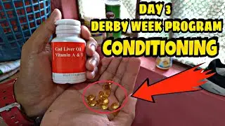 DAY 3 - DERBY WEEK PROGRAM - CONDITIONING gamit ang COD LIVER- para sa kalapati (pigeon) natin 💪😁