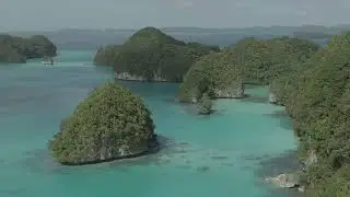 Pristine Paradise: Epic Dive Adventures in Palau
