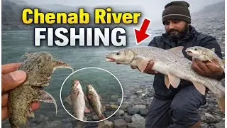✅ Chenab Fishing 😲 Aisi Machli Pehli Baar Dekhi! | 😲 Unexpected Catch @Fishingking2.o 