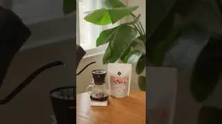 Sonora SL28 - Costa Rica Filter