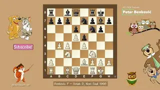 Brilliant Attack in the King's Indian Defence | Benkovic - Solak