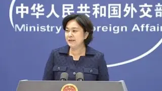 China: Meng Wanzhou case is 'political persecution'
