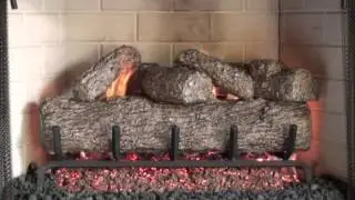 Peterson Gas Logs   Live Oak Demo