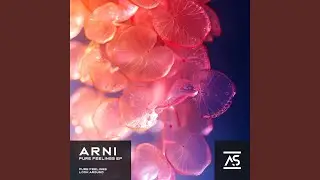 Pure Feelings (Extended Mix)