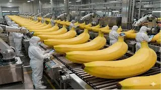 Inside a Banana Bread Mega Factory 🍌 Thousands of Loaves Made Every Hour!