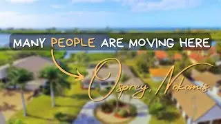 Osprey Fl | A Historic & Charming Place in Sarasota