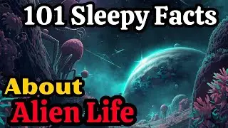 100 Theories About Alien Life &mdash; A Soothing Documentary on Extraterrestrials