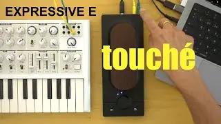 Expressive E Touché. Innovación en control de expresión musical. Análisis en español.