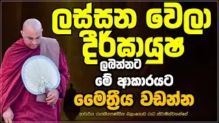 ලස්සන වෙලා දීර්ඝායුෂ ලබන්නට මේ දේවල් කරන්න Ven Balangoda Radha Thero Ama Dora Viwara Viya