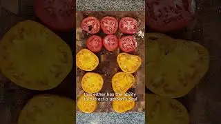 Turkey and the Wolf Tomato Sandwich