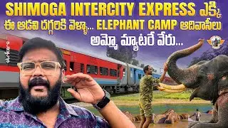 Shimoga Intercity Train Journey|| Sakrebyle Elephant Camp || Adivasi Hakki Pikka Herbal Hair oil