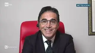 Mario Turco in collegamento con Rai Parlamento - 17/01/2026