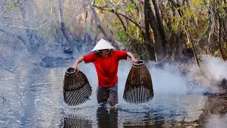 Ru Cha Mangrove Forest: A Sleeping Beauty of Hue