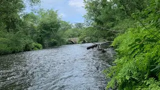 Paddle-a-thon 2021 with my Blackfin iSUP on the Ipswich River