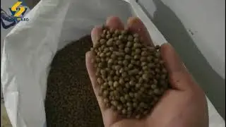 Aquatic feed production plant floaing & sinking feed machine