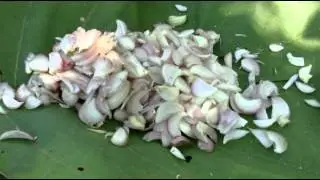 Marathi man vs wild