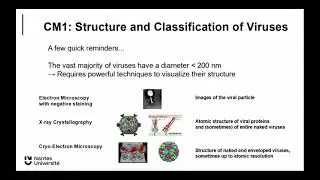 ViroMycoL3 ABT1 : Virus Structure and Classification