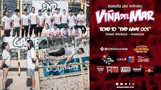 Batalla del infinito | Viña del Mar | End Game 001