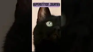 🔮 Decode the Mystery: Black Cat Riddle Challenge! 🌙🐾 #Shorts