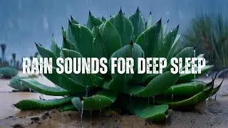Relaxing Rain Sounds for Deep Sleep and Stress Relief